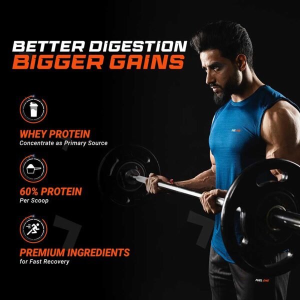 Fuel One Whey Protein Powder, 1 kg (2.2 lb)